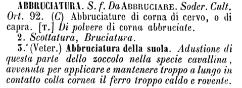 abbruciatura