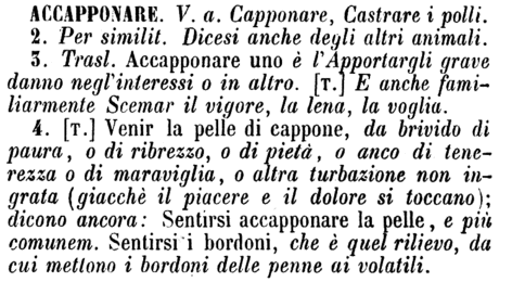 accapponare