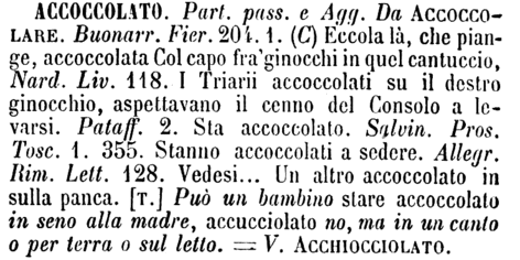 accoccolato