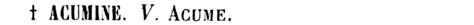 acumine