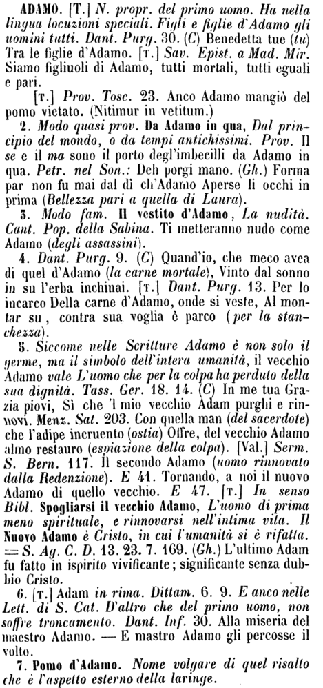 adamo