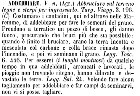 addebbiare