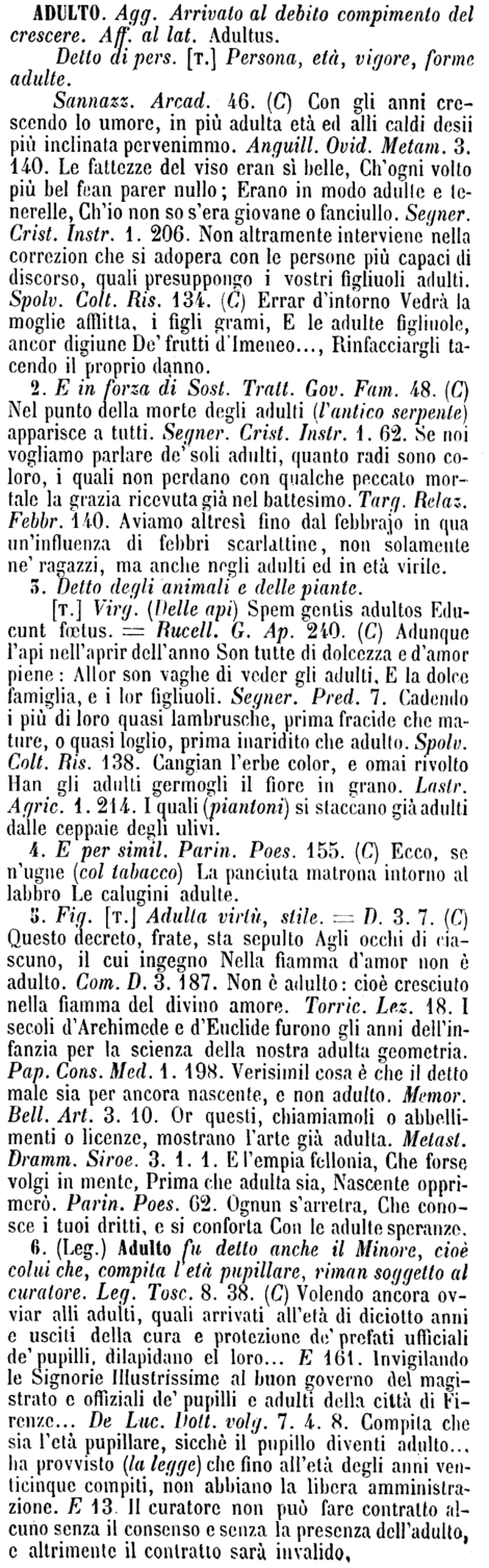 adulto