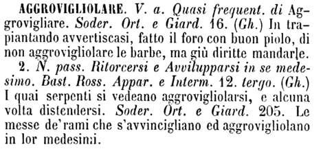aggrovigliolare