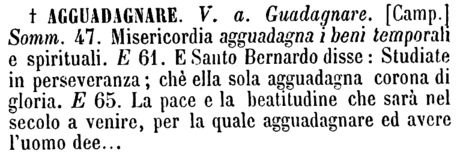 agguadagnare