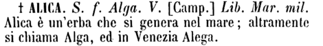 alica