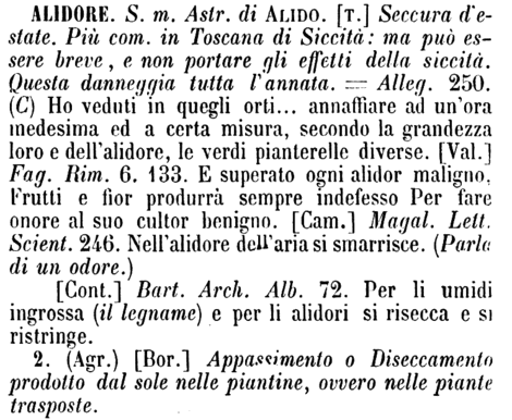 alidore