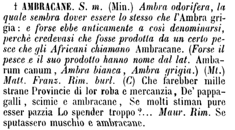 ambracane