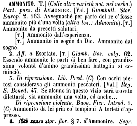 ammonito