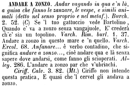 andare-a-zonzo