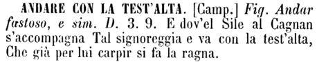 andare-con-la-test-alta