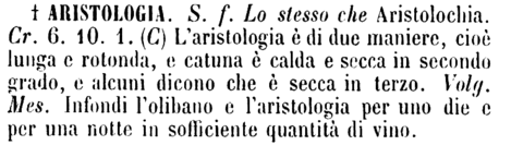 aristologia