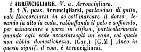 arruncigliare