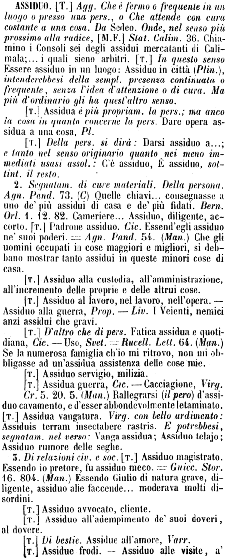 assiduo