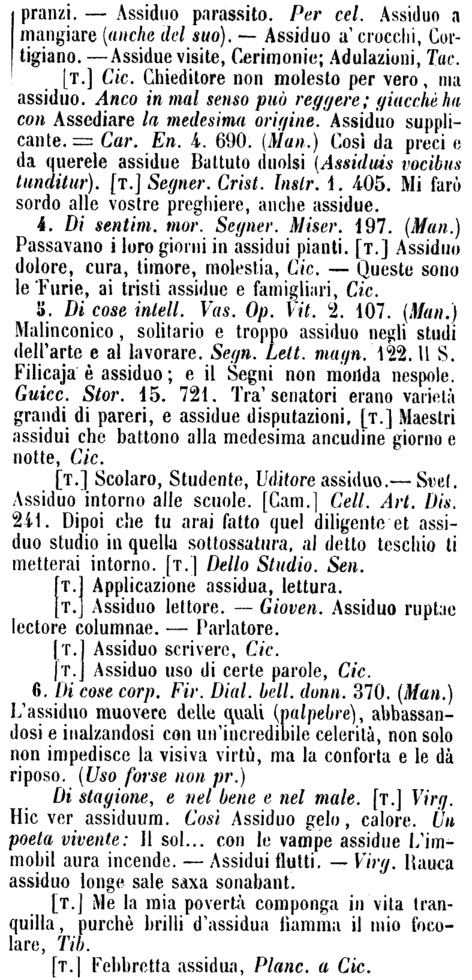 assiduo