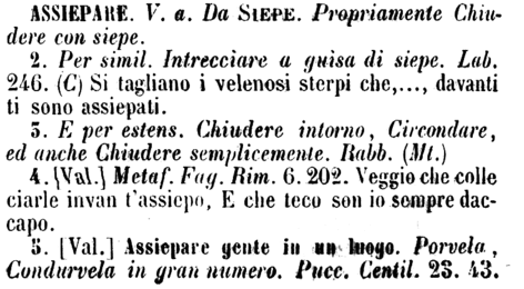 assiepare