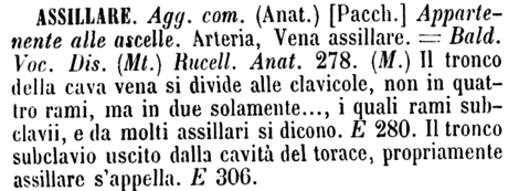 assillare-12512