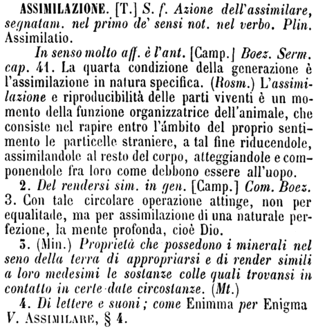 assimilazione