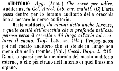 auditorio-13484
