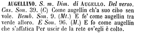 augellino