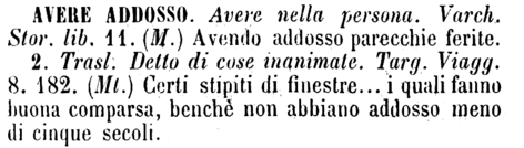 avere-addosso