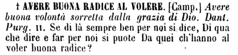 avere-buona-radice-al-volere