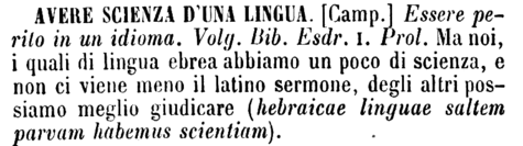 avere-scienza-d-una-lingua