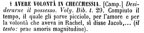 avere-volonta-in-checchessia