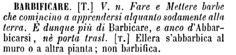 barbificare