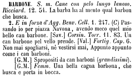 barbone-15949