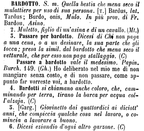 bardotto