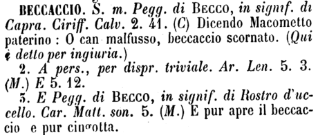 beccaccio