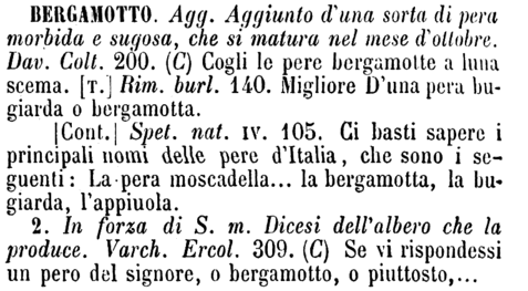 bergamotto-17113