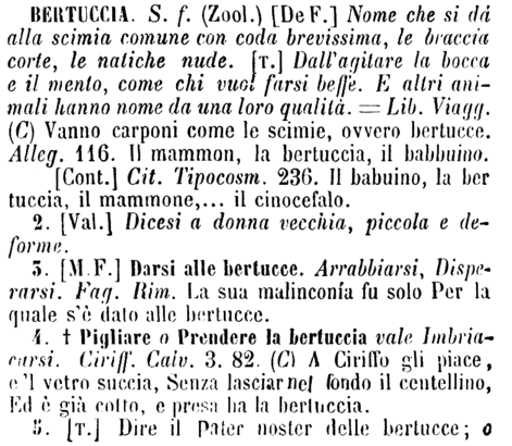 bertuccia