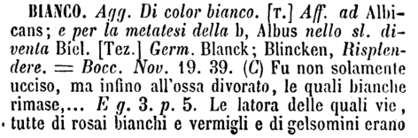 bianco-17414