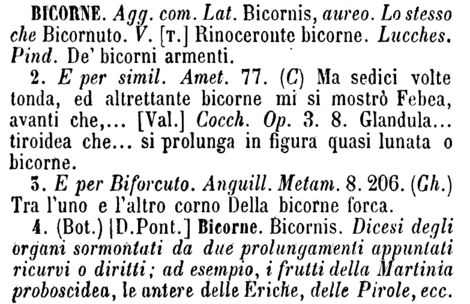bicorne