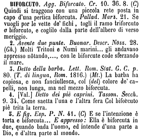 biforcuto