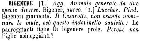 bigenere