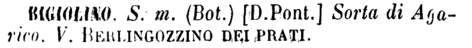 bigiolino