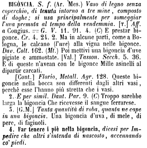 bigoncia