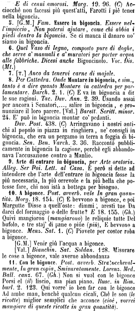 bigoncia