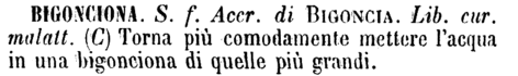 bigonciona