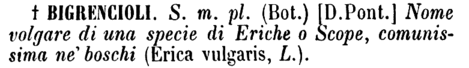 bigrencioli