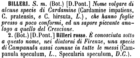 billeri