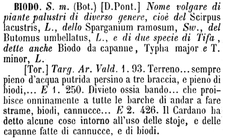 biodo-17796