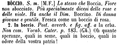 boccio-18283