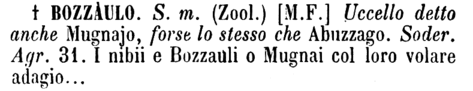 bozzaulo