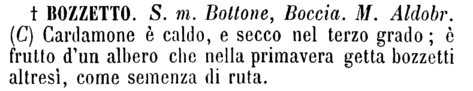 bozzetto-18874