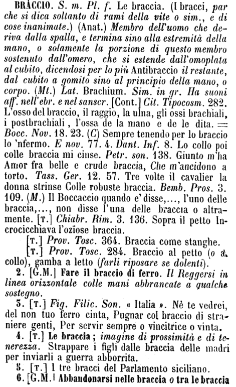braccio