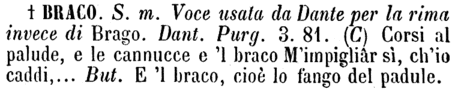 braco
